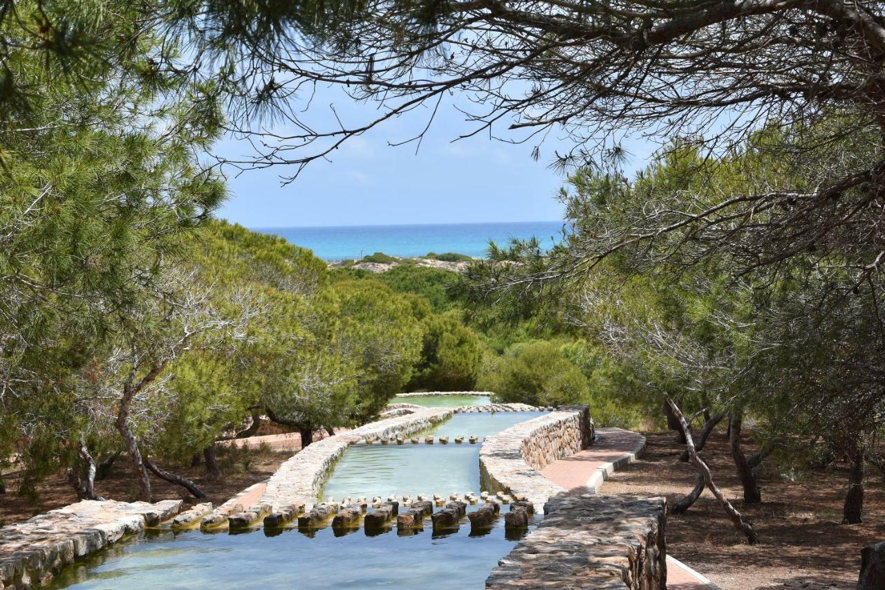 Apartment Vinamar III - Sunny La Mata La Mata  Eksteriør billede